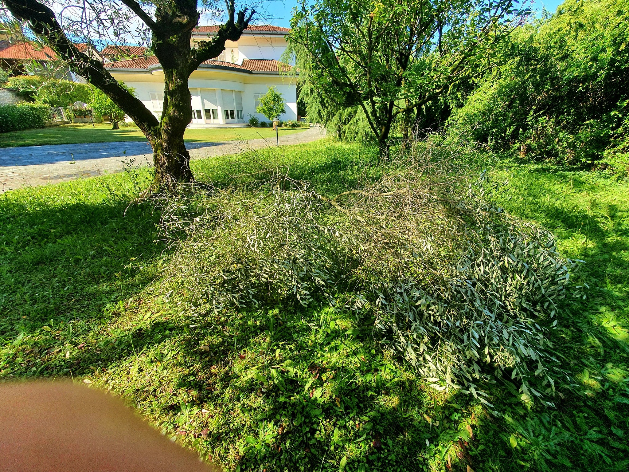 Brianza: prestigiosa villa ad Agrate Brianza (Mb)