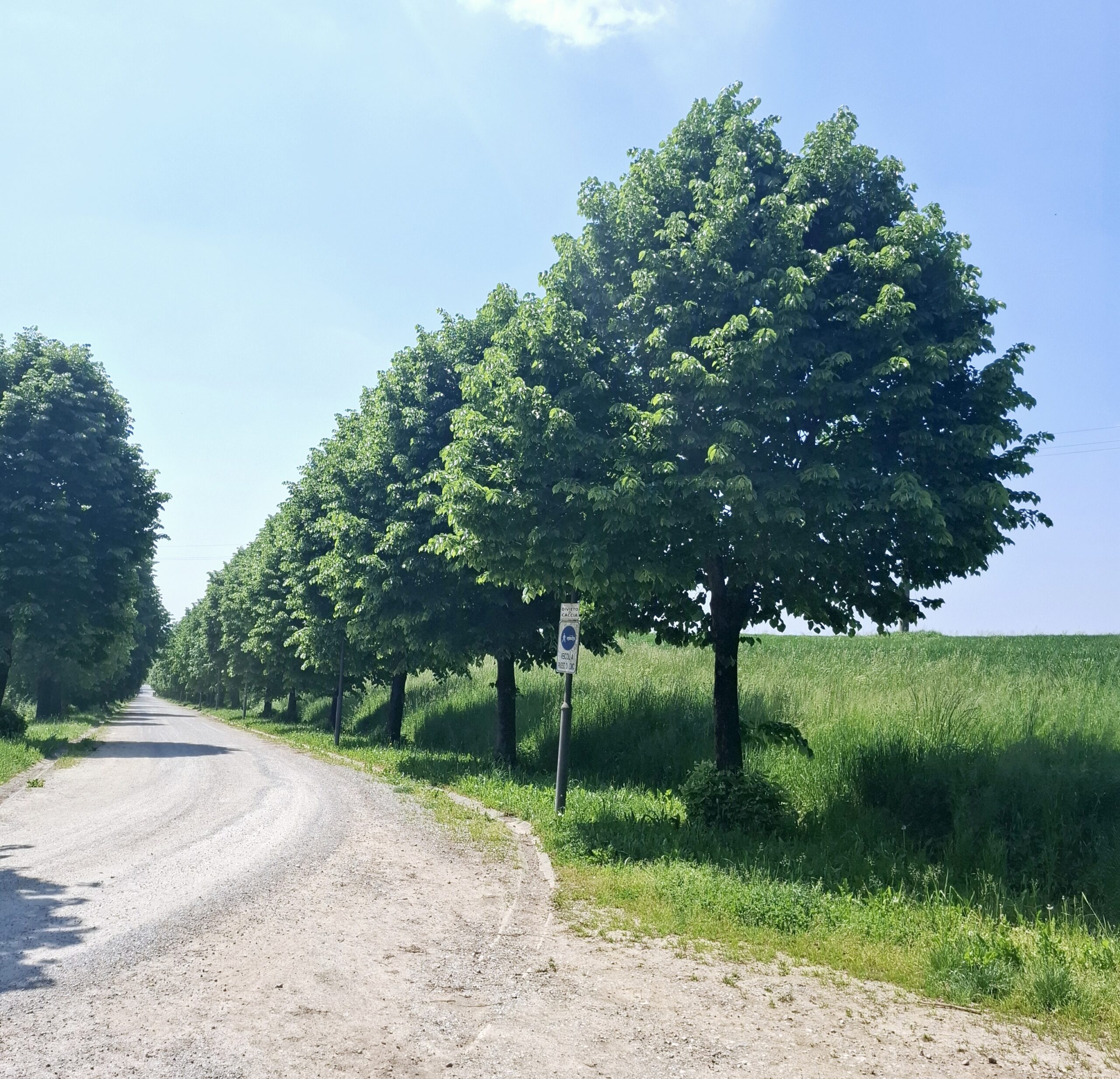 Brianza: Attico nel Parco di Montevecchia